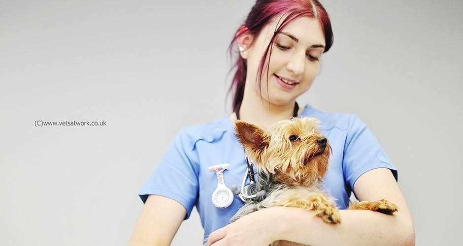 Photograph of Veterinary Nurse Reassuring Patient