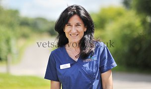 Veterinary Team Photography