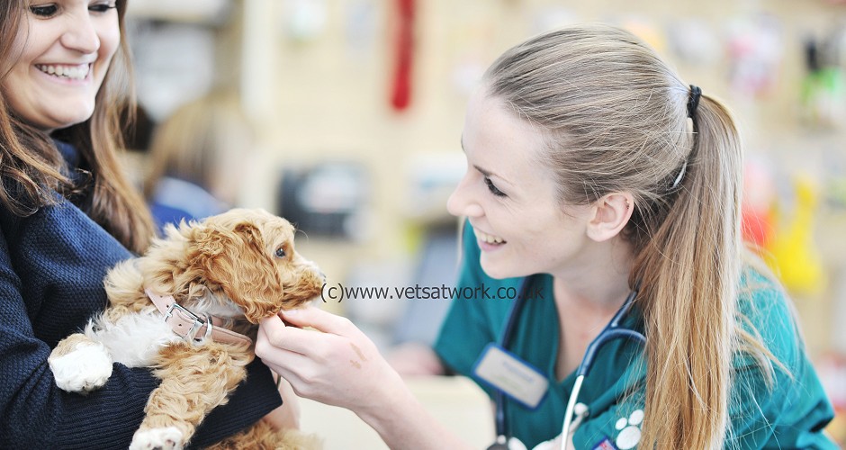 Vet Photography Nurse with puppy and client
