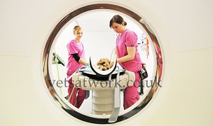 Referral Diagnostics