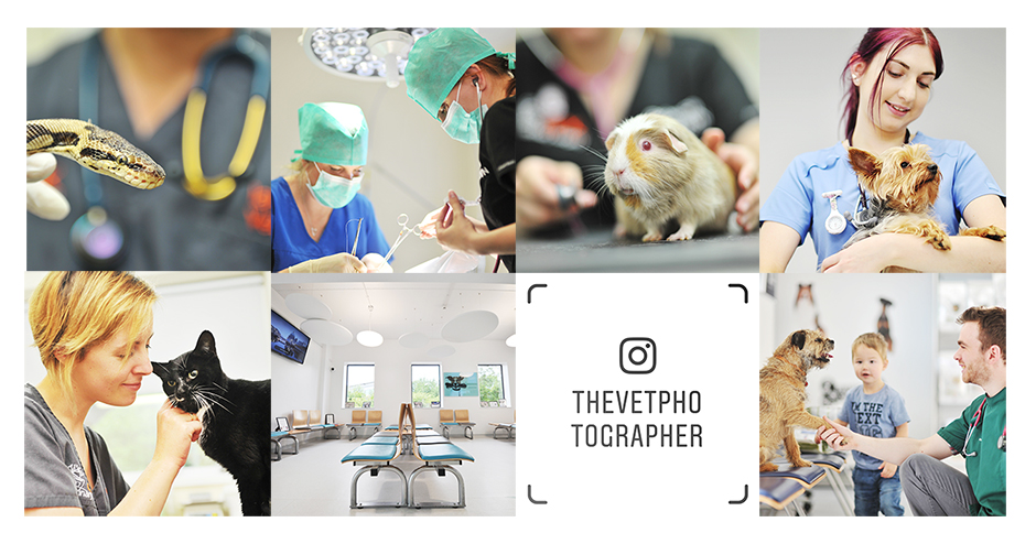 vet Photo's