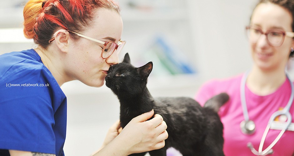 Feline Veterinary Photography Vet in pink tunic